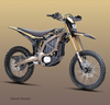 Surron Ultra Bee 2025